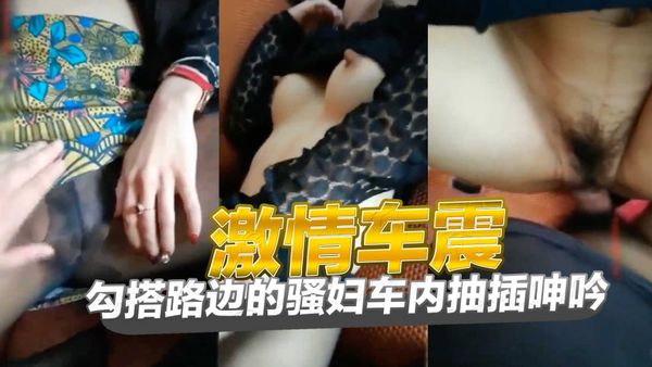激情车震勾搭路边的骚妇车内抽插呻吟
