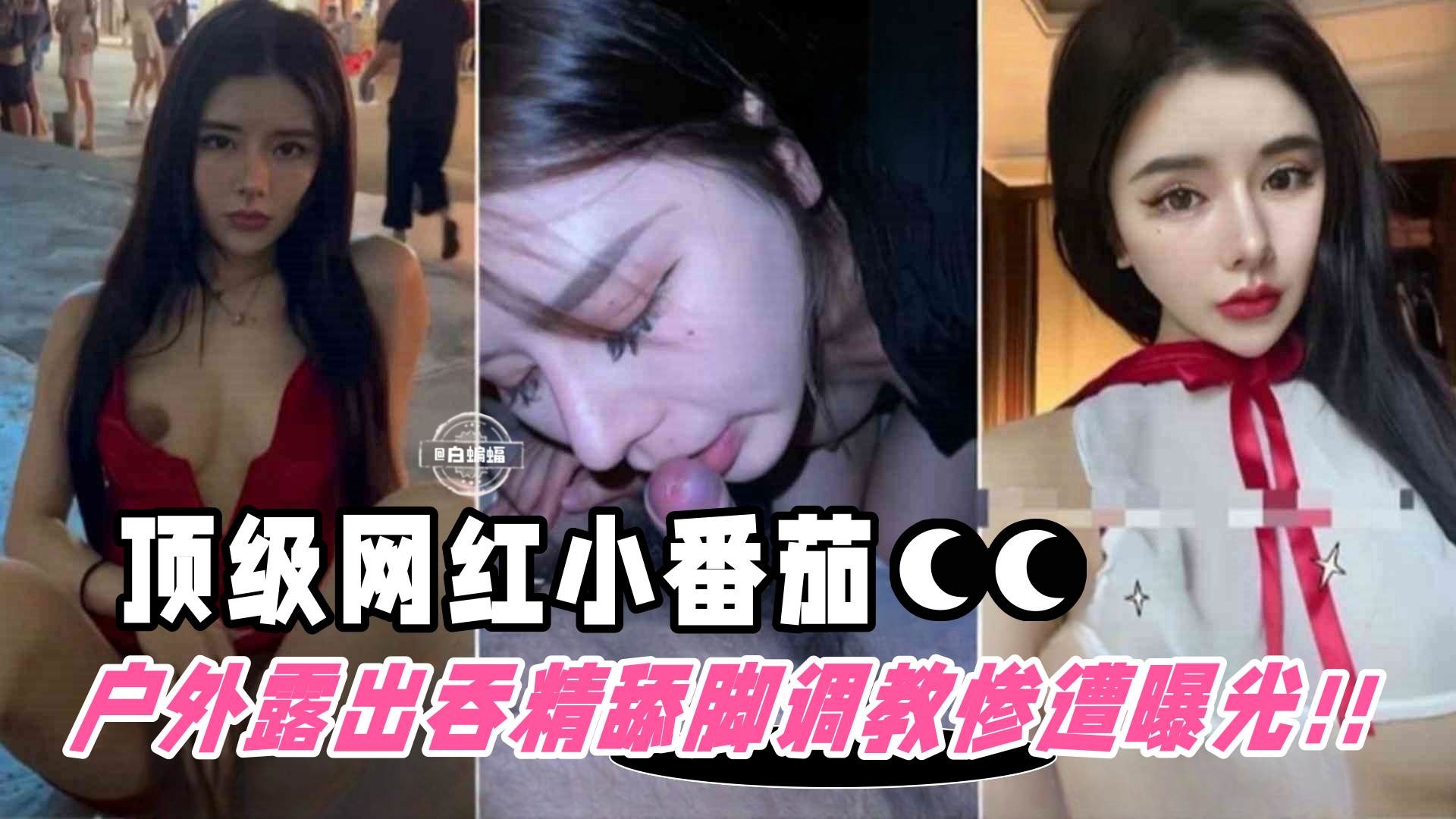 撸点极高-顶流网红被包养户外露出舔脚吞精等调教惨遭粉丝曝光网红小番茄的世界末日